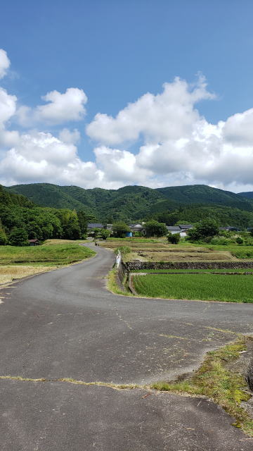 近所の田んぼ