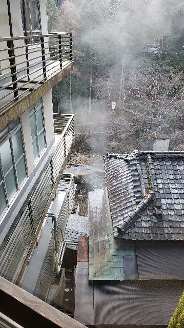 冬の景色