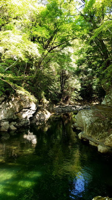 横の瀬古峡